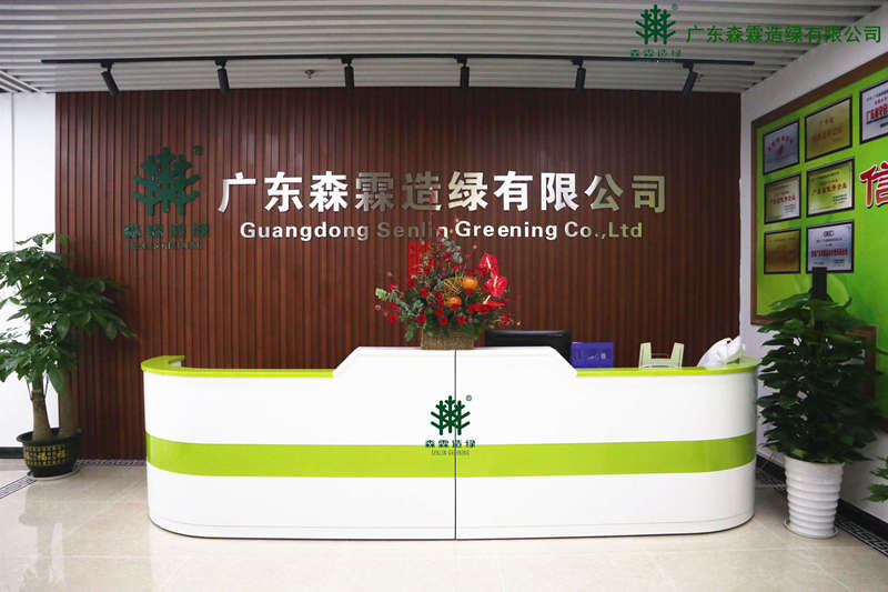 �Ƿ�����(�й���)-�ٷ���վ