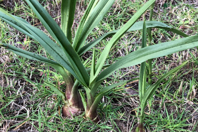 �Ƿ�����(�й���)-�ٷ���վ