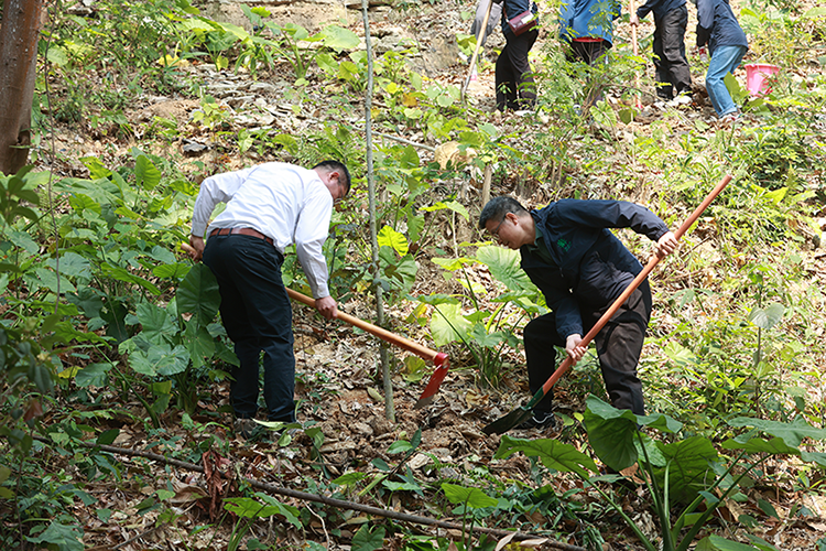 ·Ç·²¹ú¼Ê(ÖйúÇø)-¹Ù·½ÍøÕ¾