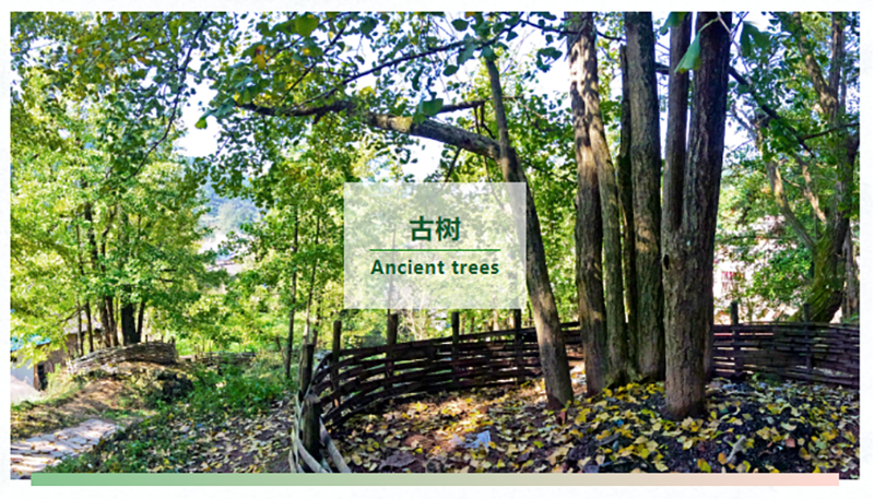 �Ƿ�����(�й���)-�ٷ���վ